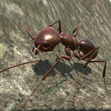 Ant Simulation 3D Full MOD APK