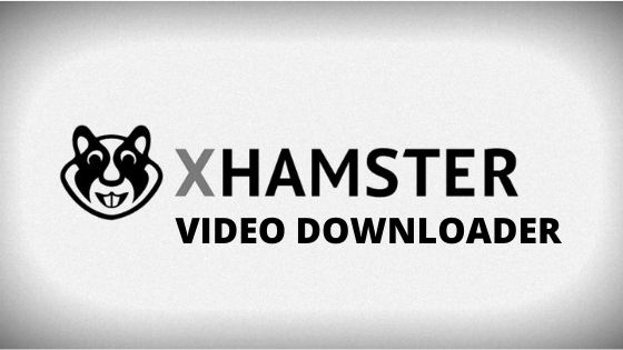 Xhamster apk Download